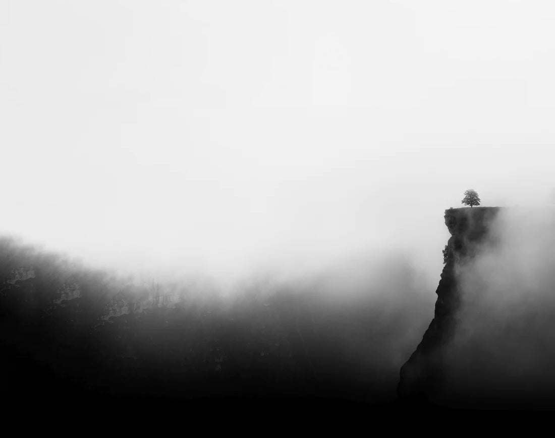 Moontown Discovery Collector Set (10 Pack)